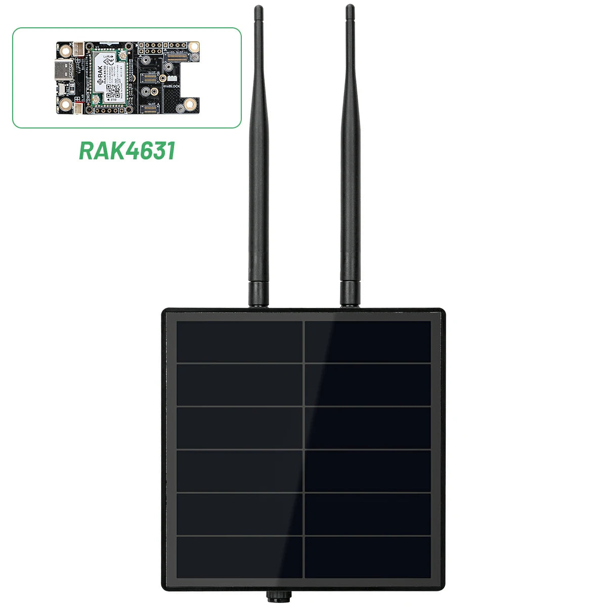 D5L R1 RAK4631 Module
